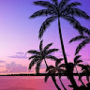 Meet your Posher, Robyn